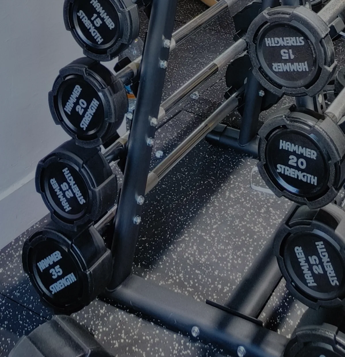 Fit Pit gym photo – equipment and facility